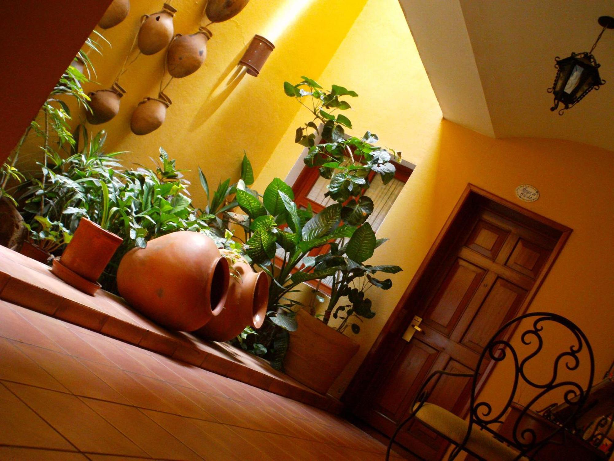Hotel Casa Divina Oaxaca Eksteriør bilde