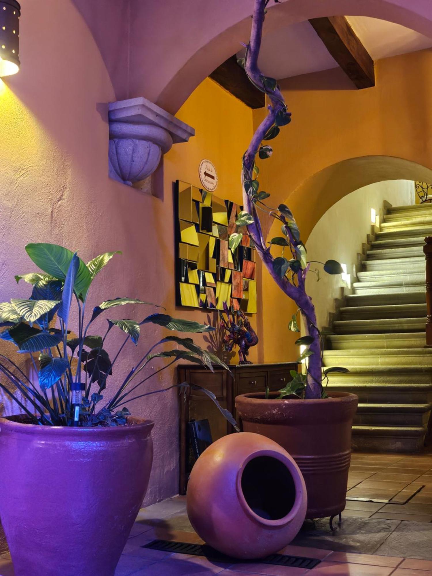 Hotel Casa Divina Oaxaca Eksteriør bilde